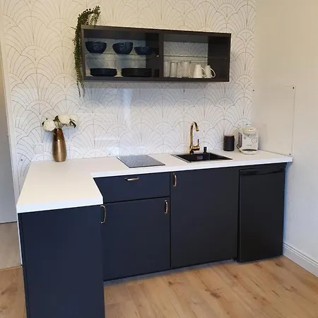 Apartment Melody Mit E-ladesaeule Und Mobiler Klimaanlage Gelsenkirchen