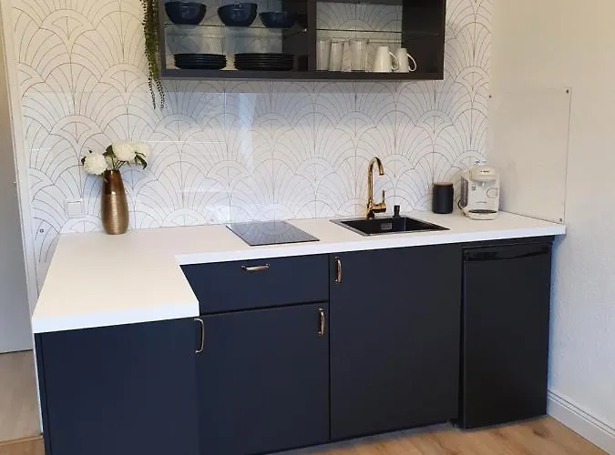 Apartment Melody Mit E-ladesaeule Und Mobiler Klimaanlage Gelsenkirchen