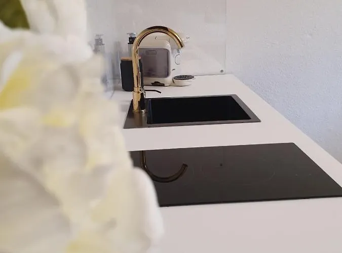 Apartment Melody Mit E-ladesaeule Und Mobiler Klimaanlage Gelsenkirchen